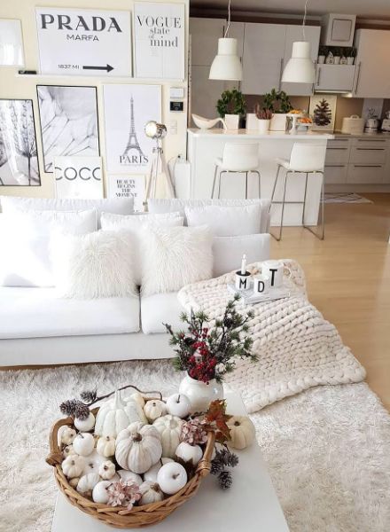 shaggy rugs for living room